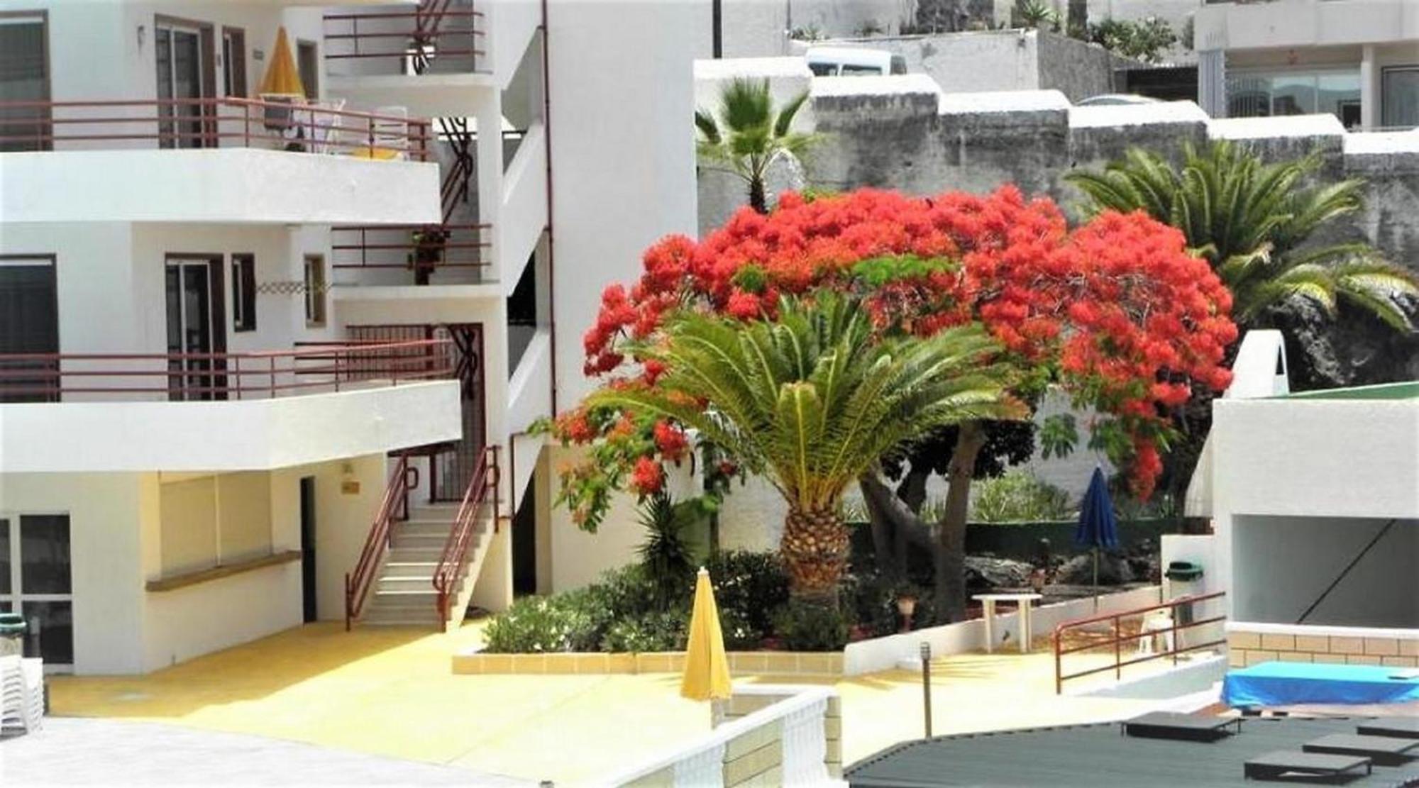 Apartamento Sol & Arena Puerto de Santiago  Dış mekan fotoğraf